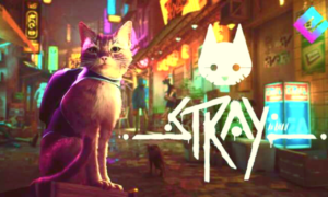 stray review
