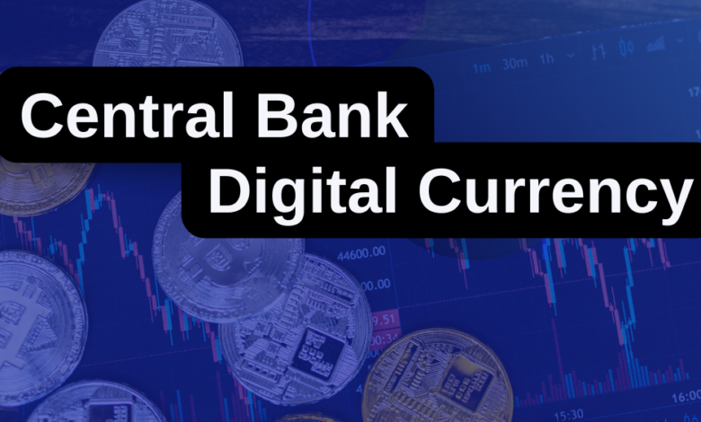 Central Bank Digital Currency