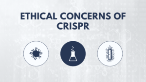 Ethical Concerns of CRISPR